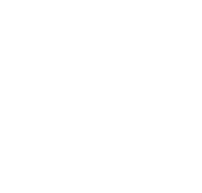The Real Estate Brokerage